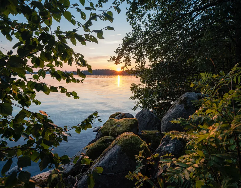 Natur vid sjön